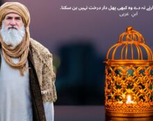 Ibnul Arabi: Illuminating Islamic Philosophy